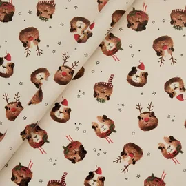 Small Animals