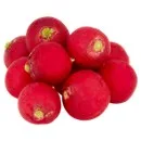 Radish