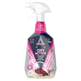 Floor & Carpet Cleaners