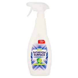 Bathroom Cleaning