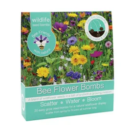Plant Seeds, Planting & Tools