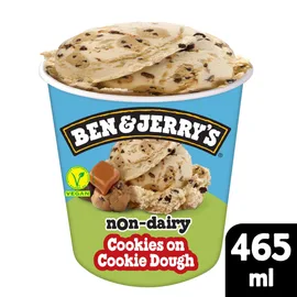 Vegan Ice Cream