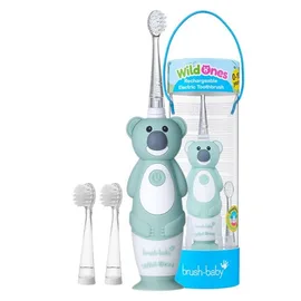 Electric Toothbrushes & Heads