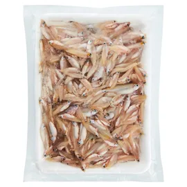 Frozen Lamb