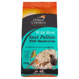 Wild Bird Care