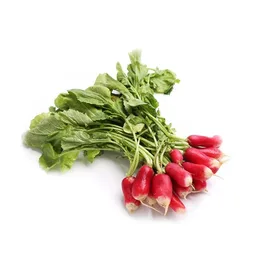Radish