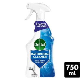 Bathroom Cleaning