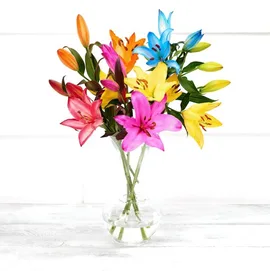 Lilies