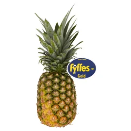 Pineapple