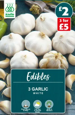 Onions, Leeks & Garlic