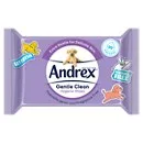 Hand Wipes