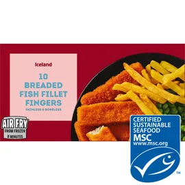 Fish Fingers