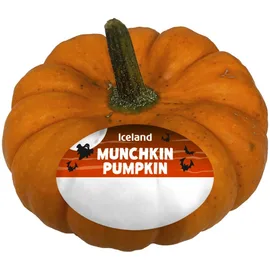 Squash & Sweet Potatoes