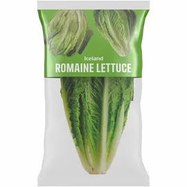 Lettuce