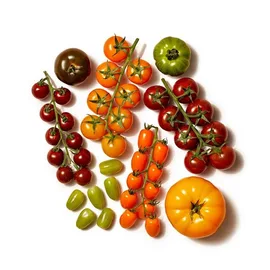 Tomatoes