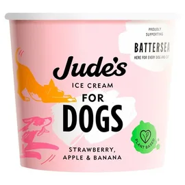Pet Ice Cream