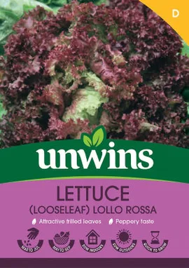 Lettuce