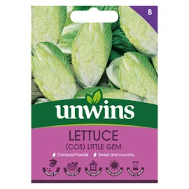 Lettuce