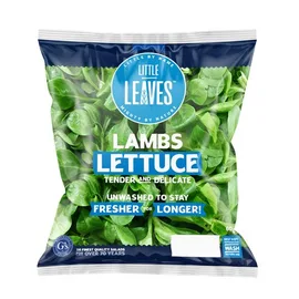 Lettuce