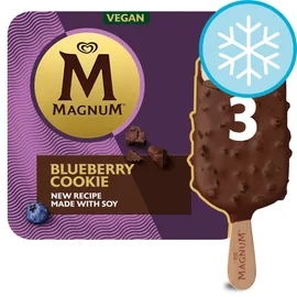 Vegan Ice Cream
