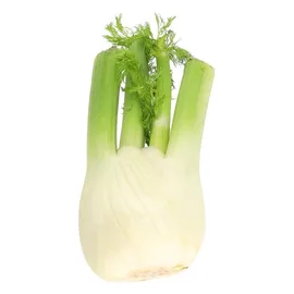 Celery & Fennel