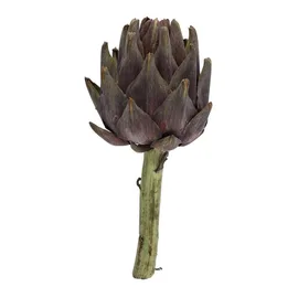 Artichokes