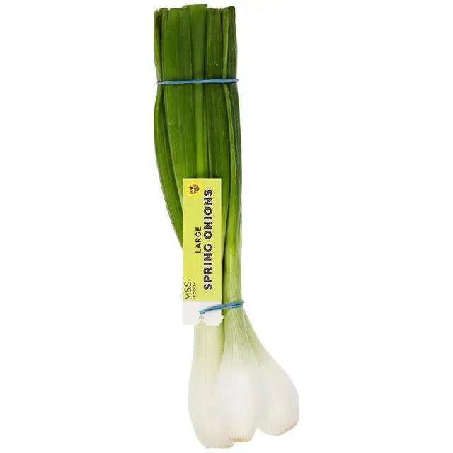 Seasonal Star: Now 98p, was £1.40