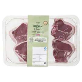 Lamb
