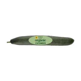 Cucumber