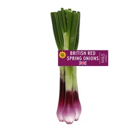 Spring Onions