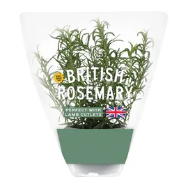 Fresh Herbs