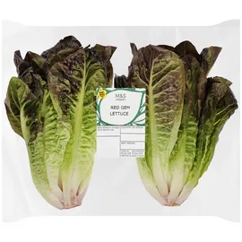 Lettuce