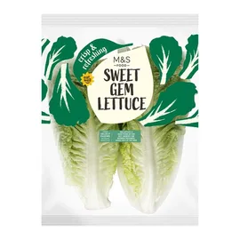 Lettuce