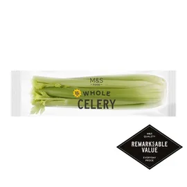 Celery & Fennel