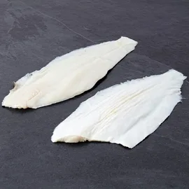 White Fish