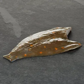 White Fish
