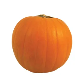 Squash & Sweet Potatoes