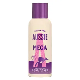 Conditioner