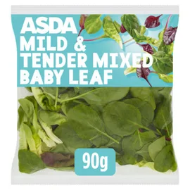 Salad Bags