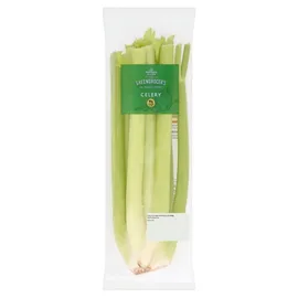 Celery & Fennel