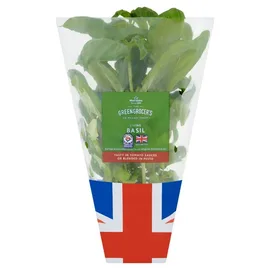 Fresh Herbs