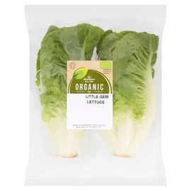 Lettuce
