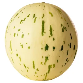 Melon