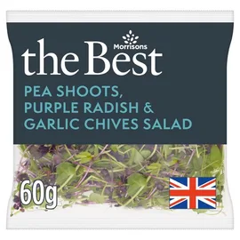Salad Bags