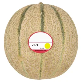 Melon