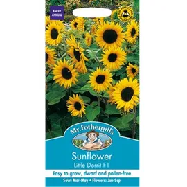 Plant Seeds, Planting & Tools