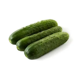 Cucumber