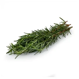 Fresh Herbs
