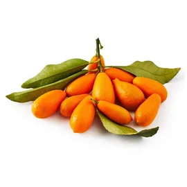 Exotic Fruit