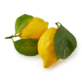 Lemons & Limes